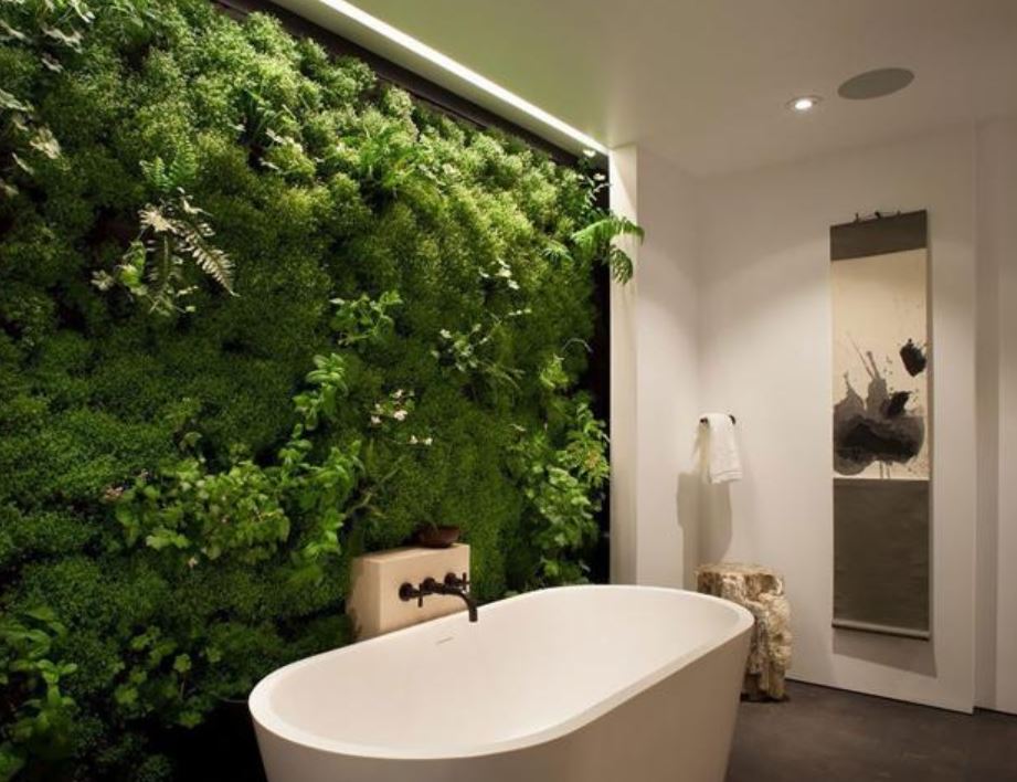 living green wall in bathroom