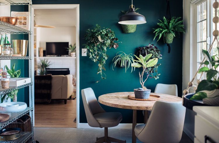 awesome green accent wall with plants